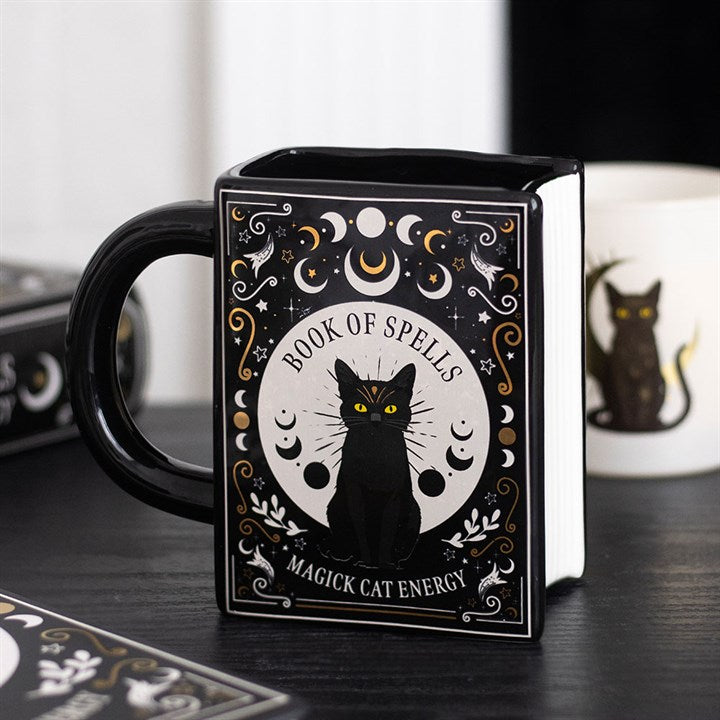 Mug chat noir đ»